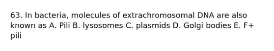 63. In bacteria, molecules of extrachromosomal DNA are also known as A. Pili B. lysosomes C. plasmids D. Golgi bodies E. F+ pili