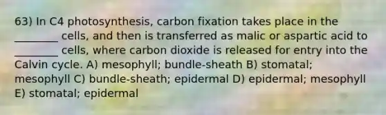 63) In C4 photosynthesis, carbon fixation takes place in the ________ cells, and then is transferred as malic or aspartic acid to ________ cells, where carbon dioxide is released for entry into the Calvin cycle. A) mesophyll; bundle-sheath B) stomatal; mesophyll C) bundle-sheath; epidermal D) epidermal; mesophyll E) stomatal; epidermal