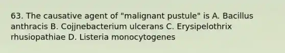 63. The causative agent of "malignant pustule" is A. Bacillus anthracis B. Cojjnebacterium ulcerans C. Erysipelothrix rhusiopathiae D. Listeria monocytogenes