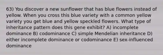 63) You discover a new sunflower that has blue flowers instead of yellow. When you cross this blue variety with a common yellow variety you get blue and yellow speckled flowers. What type of inheritance pattern does this gene exhibit? A) incomplete dominance B) codominance C) simple Mendelian inheritance D) either incomplete dominance or codominance E) sex-influenced dominance