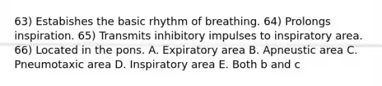 63) Estabishes the basic rhythm of breathing. 64) Prolongs inspiration. 65) Transmits inhibitory impulses to inspiratory area. 66) Located in the pons. A. Expiratory area B. Apneustic area C. Pneumotaxic area D. Inspiratory area E. Both b and c