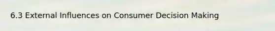 6.3 External Influences on Consumer Decision Making