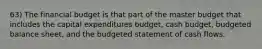 63) The financial budget is that part of the master budget that includes the capital expenditures budget, cash budget, budgeted balance sheet, and the budgeted statement of cash flows.