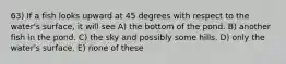 63) If a fish looks upward at 45 degrees with respect to the water's surface, it will see A) the bottom of the pond. B) another fish in the pond. C) the sky and possibly some hills. D) only the water's surface. E) none of these