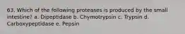 63. Which of the following proteases is produced by the small intestine? a. Dipeptidase b. Chymotrypsin c. Trypsin d. Carboxypeptidase e. Pepsin