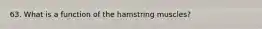 63. What is a function of the hamstring muscles?