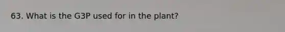 63. What is the G3P used for in the plant?