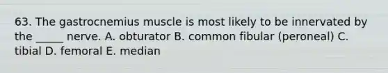 63. The gastrocnemius muscle is most likely to be innervated by the _____ nerve. A. obturator B. common fibular (peroneal) C. tibial D. femoral E. median