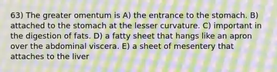 63) The greater omentum is A) the entrance to the stomach. B) attached to the stomach at the lesser curvature. C) important in the digestion of fats. D) a fatty sheet that hangs like an apron over the abdominal viscera. E) a sheet of mesentery that attaches to the liver