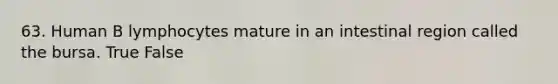 63. Human B lymphocytes mature in an intestinal region called the bursa. True False