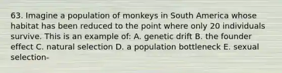 63. Imagine a population of monkeys in South America whose habitat has been reduced to the point where only 20 individuals survive. This is an example of: A. genetic drift B. the founder effect C. natural selection D. a population bottleneck E. sexual selection-