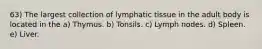 63) The largest collection of lymphatic tissue in the adult body is located in the a) Thymus. b) Tonsils. c) Lymph nodes. d) Spleen. e) Liver.