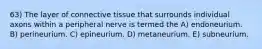 63) The layer of connective tissue that surrounds individual axons within a peripheral nerve is termed the A) endoneurium. B) perineurium. C) epineurium. D) metaneurium. E) subneurium.