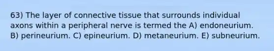 63) The layer of connective tissue that surrounds individual axons within a peripheral nerve is termed the A) endoneurium. B) perineurium. C) epineurium. D) metaneurium. E) subneurium.