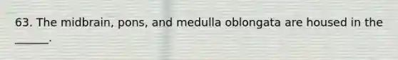 63. The midbrain, pons, and medulla oblongata are housed in the ______.