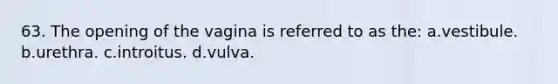 63. The opening of the vagina is referred to as the: a.vestibule. b.urethra. c.introitus. d.vulva.