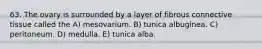 63. The ovary is surrounded by a layer of fibrous connective tissue called the A) mesovarium. B) tunica albuginea. C) peritoneum. D) medulla. E) tunica alba.