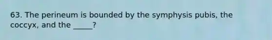 63. The perineum is bounded by the symphysis pubis, the coccyx, and the _____?