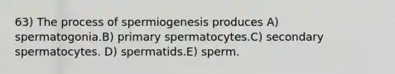 63) The process of spermiogenesis produces A) spermatogonia.B) primary spermatocytes.C) secondary spermatocytes. D) spermatids.E) sperm.