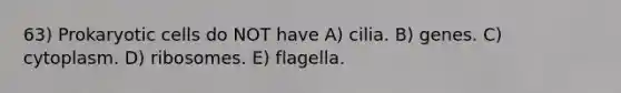 63) Prokaryotic cells do NOT have A) cilia. B) genes. C) cytoplasm. D) ribosomes. E) flagella.