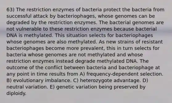 63) The restriction enzymes of bacteria protect the bacteria from successful attack by bacteriophages, whose genomes can be degraded by the restriction enzymes. The bacterial genomes are not vulnerable to these restriction enzymes because bacterial DNA is methylated. This situation selects for bacteriophages whose genomes are also methylated. As new strains of resistant bacteriophages become more prevalent, this in turn selects for bacteria whose genomes are not methylated and whose restriction enzymes instead degrade methylated DNA. The outcome of the conflict between bacteria and bacteriophage at any point in time results from A) frequency-dependent selection. B) evolutionary imbalance. C) heterozygote advantage. D) neutral variation. E) genetic variation being preserved by diploidy.