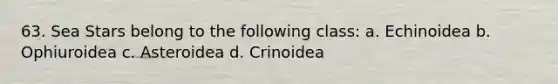 63. Sea Stars belong to the following class: a. Echinoidea b. Ophiuroidea c. Asteroidea d. Crinoidea