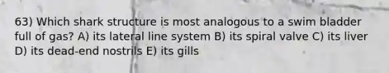 63) Which shark structure is most analogous to a swim bladder full of gas? A) its lateral line system B) its spiral valve C) its liver D) its dead-end nostrils E) its gills