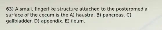 63) A small, fingerlike structure attached to the posteromedial surface of the cecum is the A) haustra. B) pancreas. C) gallbladder. D) appendix. E) ileum.