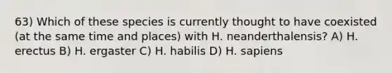 63) Which of these species is currently thought to have coexisted (at the same time and places) with H. neanderthalensis? A) H. erectus B) H. ergaster C) H. habilis D) H. sapiens