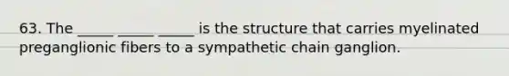 63. The _____ _____ _____ is the structure that carries myelinated preganglionic fibers to a sympathetic chain ganglion.