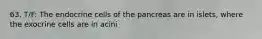 63. T/F: The endocrine cells of the pancreas are in islets, where the exocrine cells are in acini