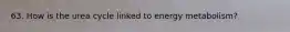 63. How is the urea cycle linked to energy metabolism?