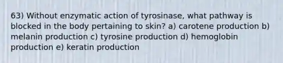 63) Without enzymatic action of tyrosinase, what pathway is blocked in the body pertaining to skin? a) carotene production b) melanin production c) tyrosine production d) hemoglobin production e) keratin production