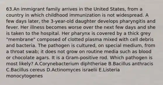 63.An immigrant family arrives in the United States, from a country in which childhood immunization is not widespread. A few days later, the 3-year-old daughter develops pharyngitis and fever. Her illness becomes worse over the next few days and she is taken to the hospital. Her pharynx is covered by a thick grey "membrane" composed of clotted plasma mixed with cell debris and bacteria. The pathogen is cultured, on special medium, from a throat swab; it does not grow on routine media such as blood or chocolate agars. It is a Gram-positive rod. Which pathogen is most likely? A.Corynebacterium diphtheriae B.Bacillus anthracis C.Bacillus cereus D.Actinomyces israelii E.Listeria monocytogenes