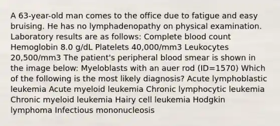 A 63-year-old man comes to the office due to fatigue and easy bruising. He has no lymphadenopathy on physical examination. Laboratory results are as follows: Complete blood count Hemoglobin 8.0 g/dL Platelets 40,000/mm3 Leukocytes 20,500/mm3 The patient's peripheral blood smear is shown in the image below: Myeloblasts with an auer rod (ID=1570) Which of the following is the most likely diagnosis? Acute lymphoblastic leukemia Acute myeloid leukemia Chronic lymphocytic leukemia Chronic myeloid leukemia Hairy cell leukemia Hodgkin lymphoma Infectious mononucleosis