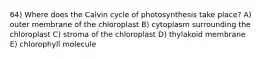 64) Where does the Calvin cycle of photosynthesis take place? A) outer membrane of the chloroplast B) cytoplasm surrounding the chloroplast C) stroma of the chloroplast D) thylakoid membrane E) chlorophyll molecule