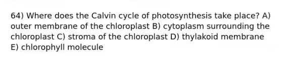 64) Where does the Calvin cycle of photosynthesis take place? A) outer membrane of the chloroplast B) cytoplasm surrounding the chloroplast C) stroma of the chloroplast D) thylakoid membrane E) chlorophyll molecule