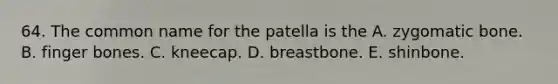 64. The common name for the patella is the A. zygomatic bone. B. finger bones. C. kneecap. D. breastbone. E. shinbone.