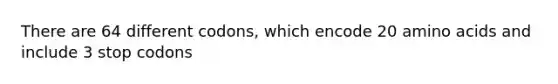 There are 64 different codons, which encode 20 amino acids and include 3 stop codons