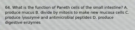 64. What is the function of Paneth cells of <a href='https://www.questionai.com/knowledge/kt623fh5xn-the-small-intestine' class='anchor-knowledge'>the small intestine</a>? A. produce mucus B. divide by mitosis to make new mucosa cells C. produce lysozyme and antimicrobial peptides D. produce <a href='https://www.questionai.com/knowledge/kK14poSlmL-digestive-enzymes' class='anchor-knowledge'>digestive enzymes</a>