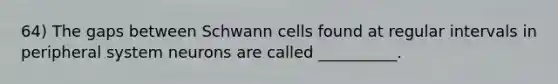 64) The gaps between Schwann cells found at regular intervals in peripheral system neurons are called __________.