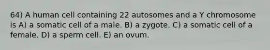 64) A human cell containing 22 autosomes and a Y chromosome is A) a somatic cell of a male. B) a zygote. C) a somatic cell of a female. D) a sperm cell. E) an ovum.