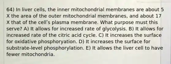 64) In liver cells, the inner mitochondrial membranes are about 5 X the area of the outer mitochondrial membranes, and about 17 X that of the cellʹs plasma membrane. What purpose must this serve? A) It allows for increased rate of glycolysis. B) It allows for increased rate of the citric acid cycle. C) It increases the surface for oxidative phosphoryation. D) It increases the surface for substrate-level phosphorylation. E) It allows the liver cell to have fewer mitochondria.