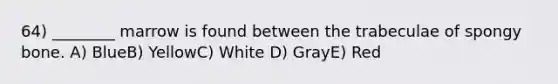 64) ________ marrow is found between the trabeculae of spongy bone. A) BlueB) YellowC) White D) GrayE) Red