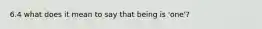 6.4 what does it mean to say that being is 'one'?