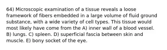 64) Microscopic examination of a tissue reveals a loose framework of fibers embedded in a large volume of fluid ground substance, with a wide variety of cell types. This tissue would most likely have come from the A) inner wall of a blood vessel. B) lungs. C) spleen. D) superficial fascia between skin and muscle. E) bony socket of the eye.