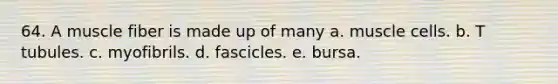 64. A muscle fiber is made up of many a. muscle cells. b. T tubules. c. myofibrils. d. fascicles. e. bursa.