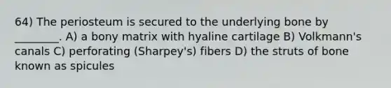 64) The periosteum is secured to the underlying bone by ________. A) a bony matrix with hyaline cartilage B) Volkmann's canals C) perforating (Sharpey's) fibers D) the struts of bone known as spicules