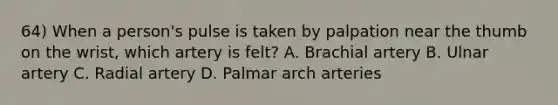 64) When a person's pulse is taken by palpation near the thumb on the wrist, which artery is felt? A. Brachial artery B. Ulnar artery C. Radial artery D. Palmar arch arteries