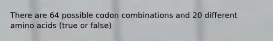 There are 64 possible codon combinations and 20 different amino acids (true or false)